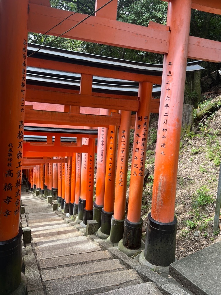 WhatsApp Image 2025-11-08 at 19.21.20 (3)