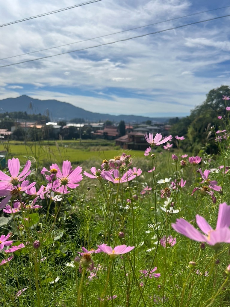 WhatsApp Image 2025-11-13 at 18.09.49 (13)