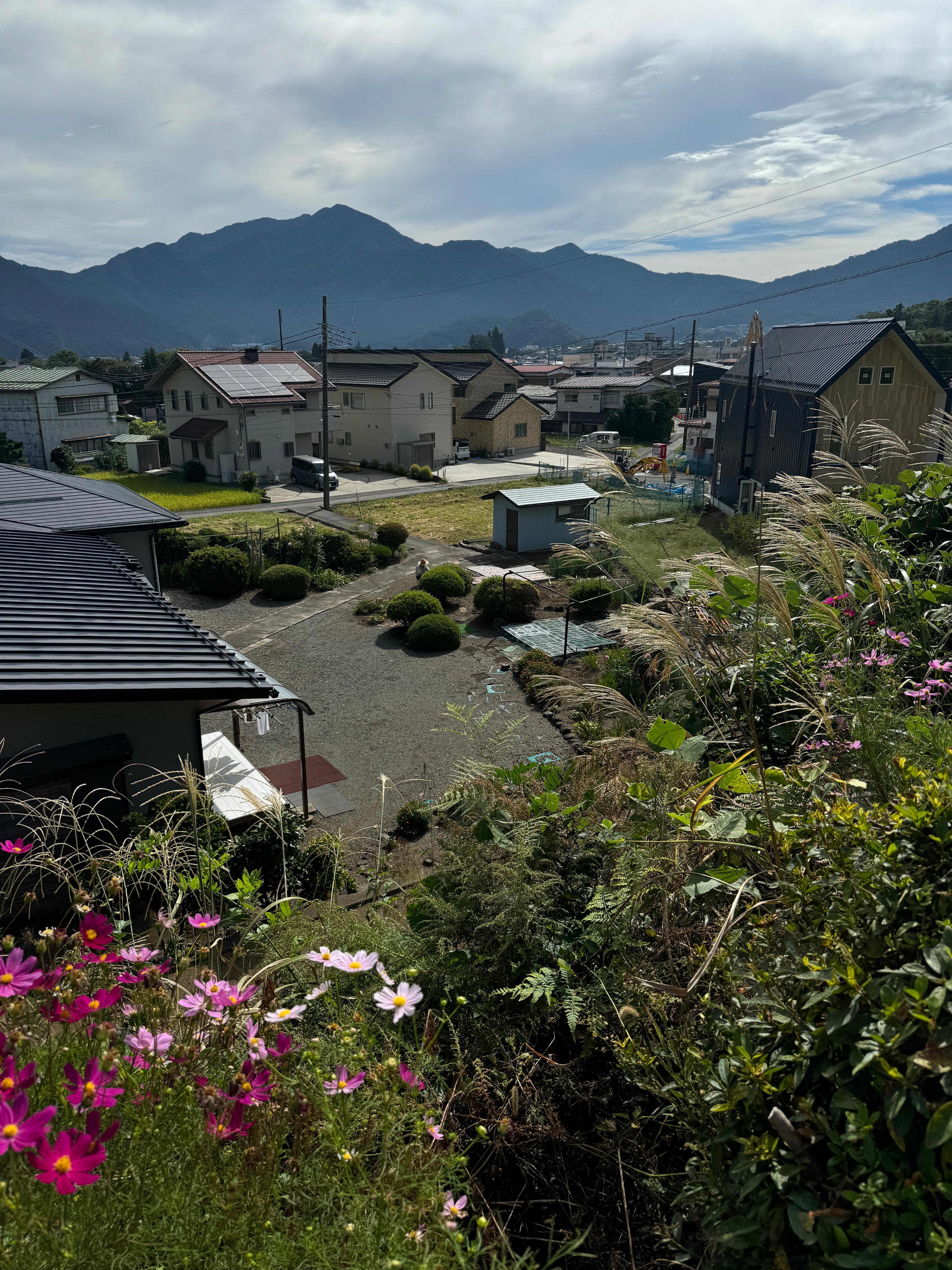 WhatsApp Image 2025-11-13 at 18.42.36